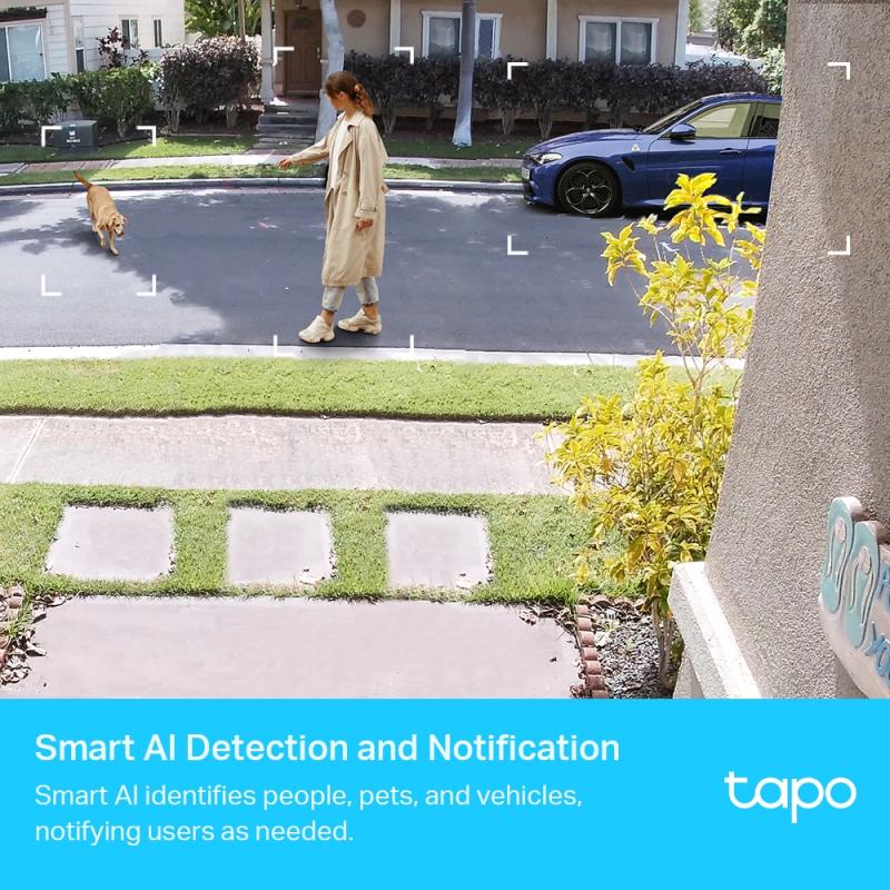 TP-LINK TPLINK IP-Kamera IPKamera Tapo C420S1 (TAPO C420S1)