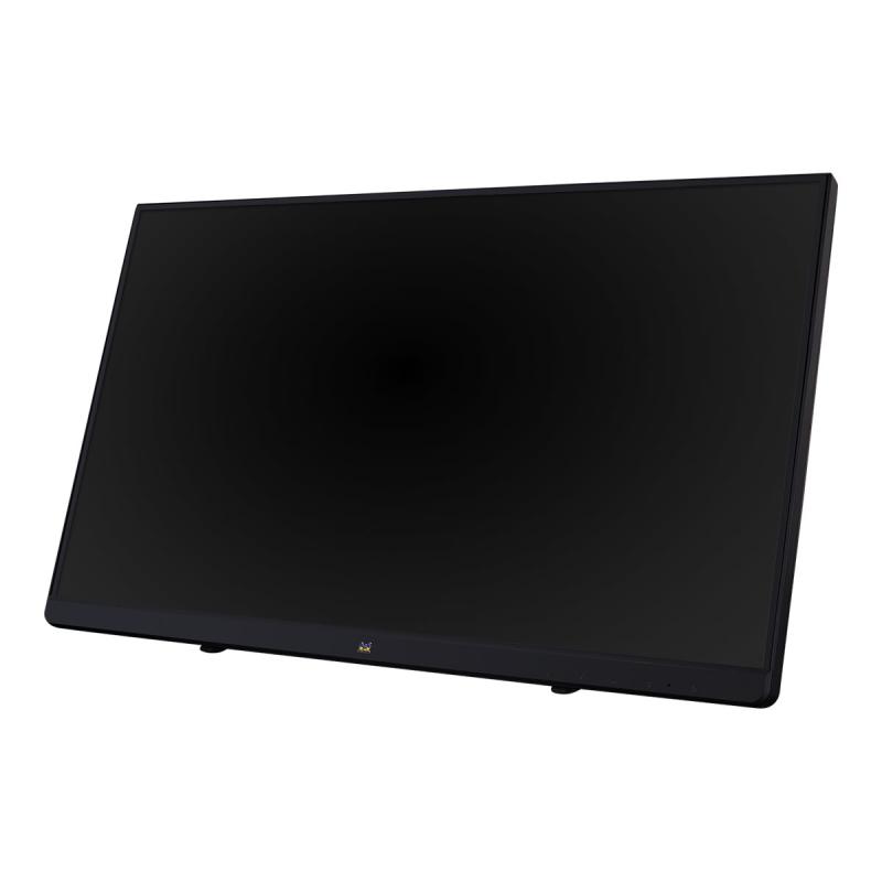 ViewSonic Monitor (TD2230)
