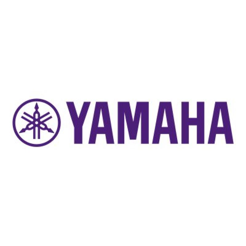 Yamaha AV-Receiver AVReceiver R-S202D RS202D Silver (ARS202DSI2)